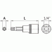 Testa Torx® 1/4